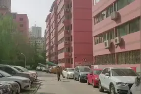 兰州快递柜超过半个小时收费5毛，速递易：正在降价视频封面