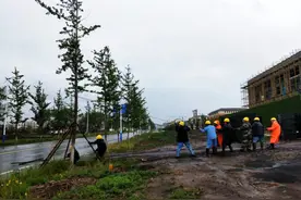 市区一大树被吹倒，园林工人顶风冒雨扶正加固图片