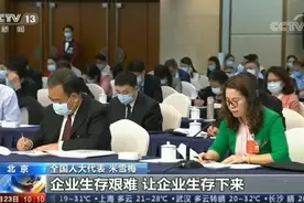 全国人大代表米雪梅的“两会时间”图片