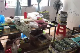 假冒每日坚果案值超两千万元，吃安全每日坚果注意这几点图片