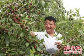长葛市增福镇：特色种植种出“好风景”脱贫有“钱”景图片