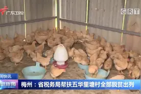 梅州：省税务局帮扶五华里塘村全部脱贫出列视频封面
