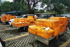 昨天凌晨，190箱海鲜“偷渡”登岛！22人当场被抓图片