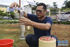 “鹦鹉”来之前……图片