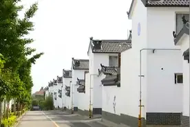 「牢记嘱托 扎实实施乡村振兴战略」潍坊青州这个小山村外出的年轻人为何回来了？图片