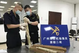 住手！别碰象牙图片