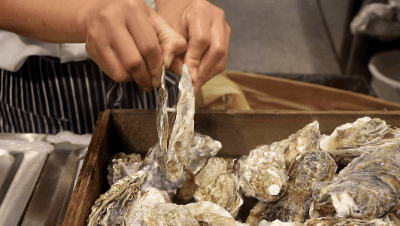 不限时！不限量！高性价比海鲜自助！海鲜、火锅、烤肉……300+菜品无限畅吃