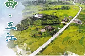 广西三江：“种茶种稻”致富可靠图片