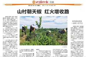 种苋菜划得来一亩收入五千元图片