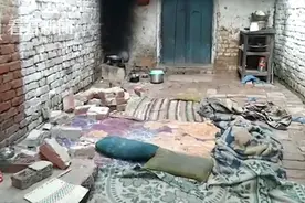 一群泼猴猛摇院墙致坍塌 印度一家五口梦中惨死图片