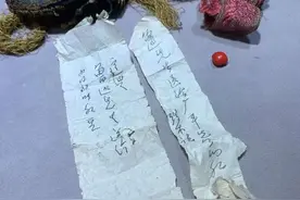 “鲁迅、许广平赠予萧红的红豆”一颗拍出21万元图片