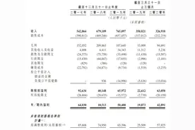稻草熊影业去年毛利率腰斩 资产负债率91%冲港股IPO图片