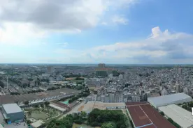 重磅！廉江打造城市次中心，“双子星”强镇布局同城规划图片