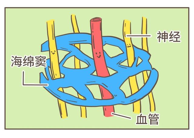别以为挤痘痘是小事，搞不好会要命的