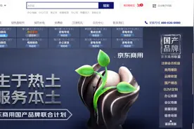 释放内需潜力 京东联合10大商用品牌启动“国产品牌联合计划”图片