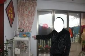 买鹦鹉当宠物？当心犯法图片