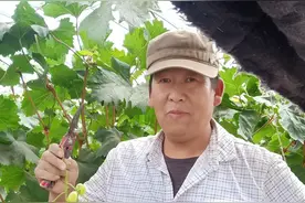 戈壁滩上的“江南”——玉门东渠的振兴之路图片