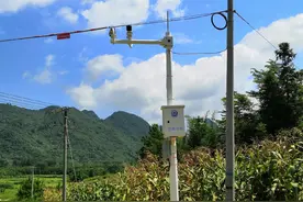 村民鸭子缘何失踪？看穿真相的是黄埔这双“慧眼”图片