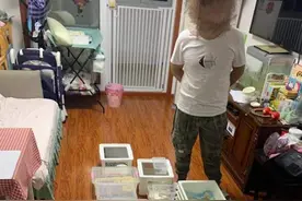 男子在家饲养球蟒还配种销售牟利，涉嫌非法收购、出售珍贵、濒危野生动物罪图片