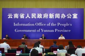 云南今年以来共有9家旅行社、6名导游被吊销证照图片