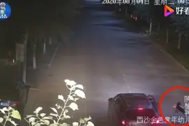 陕西神木一高中生凌晨醉躺路面昏睡，遭醉驾司机碾压身亡图片