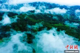 白云深处是故乡：赣西山村“美丽经济”蝶变记图片