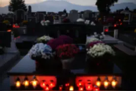 代驾小哥心态崩了！凌晨接单迷路被野狗追上山，开闪光灯才发现身处墓地图片