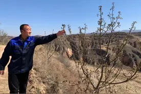 回乡创业6年，我其实是农民+欠债人图片