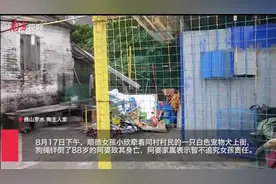 牵狗少女回应“逃跑”：当时并不知道是狗绳绊倒了老人视频封面