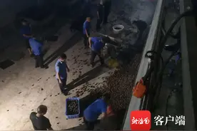 万宁取缔长丰镇一家槟榔黑果加工厂 没收槟榔黑果约8吨图片