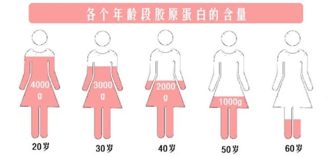 花胶色热量 2026年花胶的热量是多少大卡