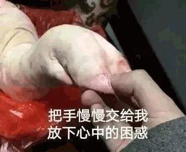 花胶有胶原蛋白 2026年花胶有胶原蛋白含量吗