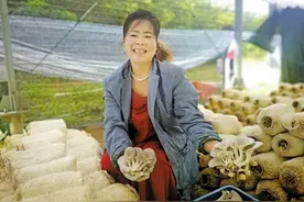 山坡“种太阳”群众喜增收图片