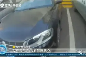 自家的狗，死在他家的后备箱！双方争执不下，真相让人意外图片