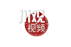 天涯海角有逃必追 梁朝伟段奕宏主演《猎狐行动》定档2021年1月8日图片