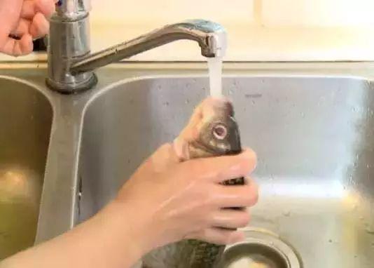 刚买回来的鱼鱼鳞掉了