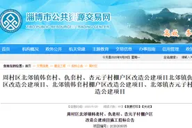 建幼儿园、老年公寓、商业中心…淄博这些棚户区马上改造图片