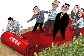 漫·议｜玉米地里铺红地毯，咋想得出来图片