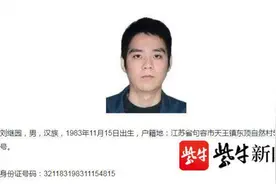 580万买进被盗文物2300万卖出，公安部A级通缉犯刘继园在镇江落网图片