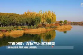 甘肃张掖：深秋芦水湾别样美视频封面