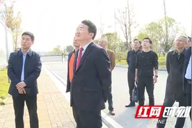 全力支持岳阳三荷机场改扩建，发展临空经济图片