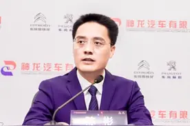 神龙汽车发布元+计划 法系车的壮士断腕与绝地反击图片