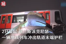 荷兰轻轨冲出轨道被鲸鱼雕像接住，网友谐音梗上线：真有“鲸”无险图片