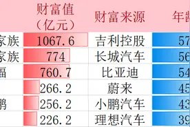 李书福还是汽车界第一富豪，李斌何小鹏李想身家均超两百亿图片