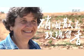 直通进博会 | 硝烟散去 玫瑰留香——叙利亚女商人鲁拉的“进博”缘图片