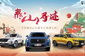 泰山寻迹⑤：走进新泰徐家拳探寻中华武术内外兼修的神奇魅力图片