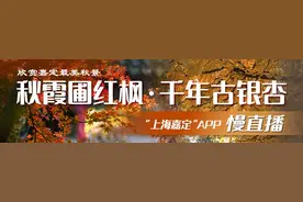 找工作吗？这里有岗位图片