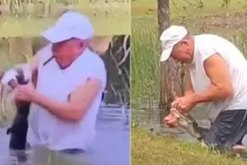 别咬我的狗！国外74岁老人为救爱犬，跳水中徒手掰开鳄鱼嘴图片