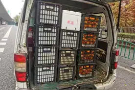 载客面包车塞满水果，轮胎都压瘪了……上海警方严查客载货及非法改装违法行为图片