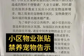 青岛一小区禁止全体业主饲养宠物：粪便污染扰民 发现或将强行带离图片
